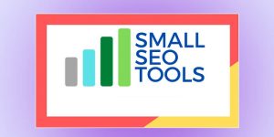 Small SEO Tools kiểm tra chi tiết từng câu văn trong nội dung của bạn